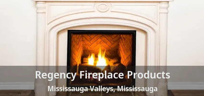 Regency Fireplace Products Mississauga Valleys, Mississauga - ON