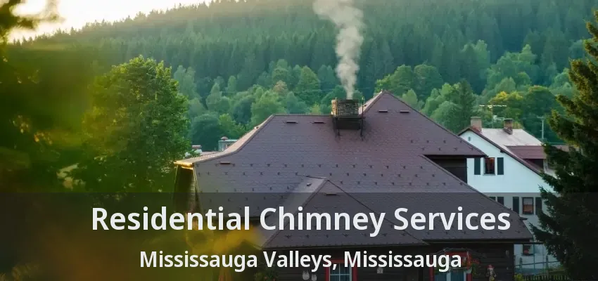 Residential Chimney Services Mississauga Valleys, Mississauga - ON