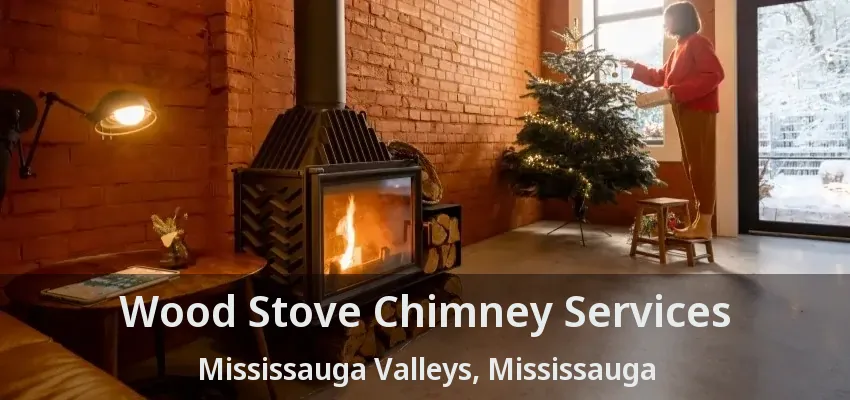 Wood Stove Chimney Services Mississauga Valleys, Mississauga - ON