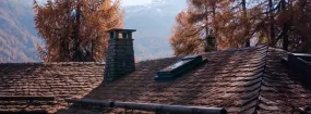 Chimney Animal Removal Sheridan, Mississauga
